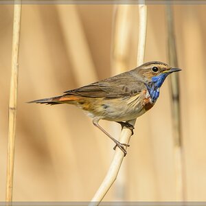 20140420 7849 [NIKON D7100] 850 mm,1 1250 Sek. bei ƒ   8,0
