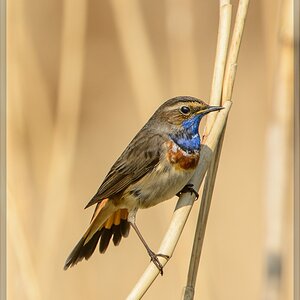 20140420 7888 [NIKON D7100] 850 mm,1 1250 Sek. bei ƒ   8,0