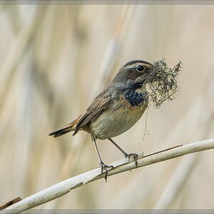20140422 0310 [NIKON 1 V3] 600 mm,1 400 Sek. bei ƒ   4,0