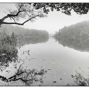 F004771c