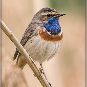 20140504 2243 [NIKON 1 V3] 600 mm,1 160 Sek. bei ƒ   4,0