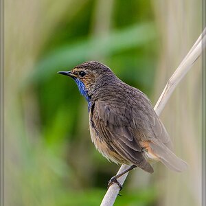 20140531 8809 [NIKON D7100] 600 mm,1 400 Sek. bei ƒ   8,0