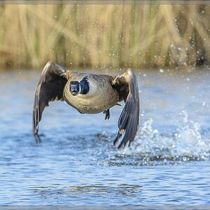 20140419 7377 [NIKON D7100] 600 mm,1 800 Sek. bei ƒ   8,0