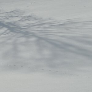 DSC 3944 crop