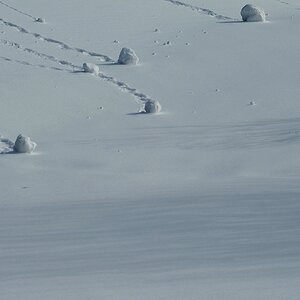 DSC 3946 crop