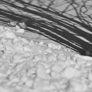 DSC 3955 crop
