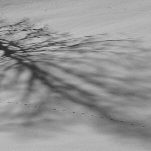 DSC 3962 crop