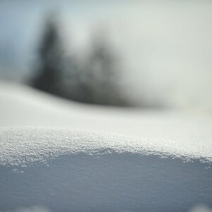 DSC 3964 crop