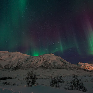 2015 Tromsö Polarlichter 26
