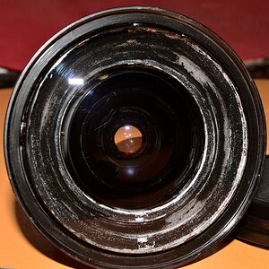 DSC 8184