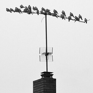 ... grau in grau