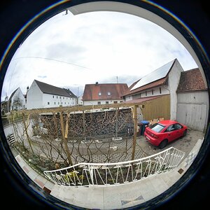 DSC 8181