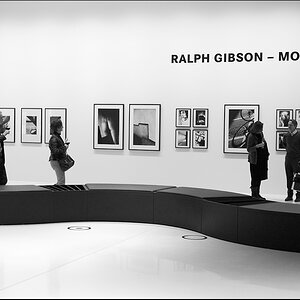 Leica Ralph Gibson Mono 16 01 2015 1000724