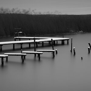 D85 2009 bw