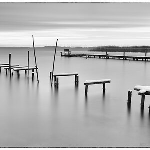 D85 2010bw