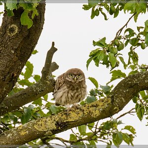 20140621 9936 [NIKON D7100] 400 mm,1 400 Sek. bei ƒ   8,0