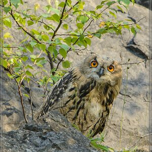 20140706 0554 [NIKON D7100] 850 mm,1 250 Sek. bei ƒ   7,1