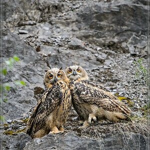 20140706 8901 [NIKON D4] 600 mm,1 400 Sek. bei ƒ   4,0