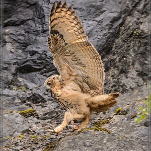 20140713 9951 [NIKON D4] 600 mm,1 250 Sek. bei ƒ   7,1