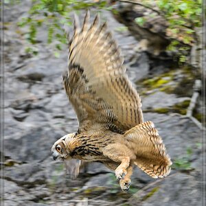 20140706 8715 [NIKON D4] 600 mm,1 200 Sek. bei ƒ   4,0