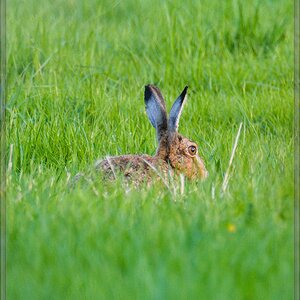 20140626 4848 [NIKON 1 V3] 400 mm,1 200 Sek. bei ƒ   5,6