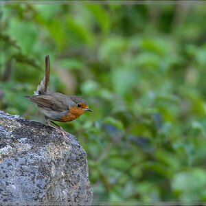 20140710 9242 [NIKON D4] 600 mm,1 400 Sek. bei ƒ   6,3