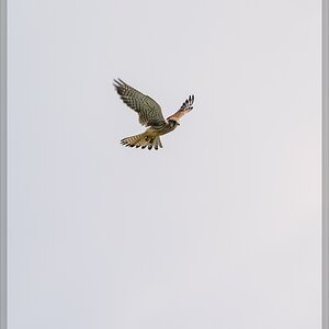 20140809 7021 [NIKON 1 V3] 300 mm,1 640 Sek. bei ƒ   6,3