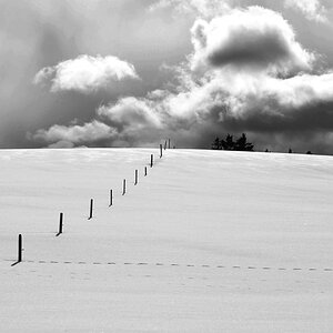 DSC 3970 crop bw