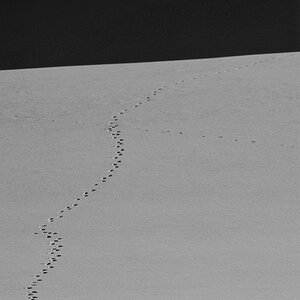DSC 4014 bw