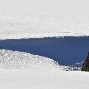 DSC 4037 crop