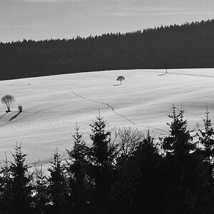 DSC 4042 crop bw