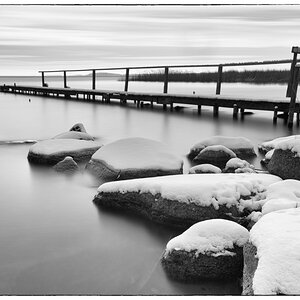 D85 2013 bw