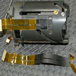 DSC 8662
