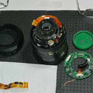 DSC 8664