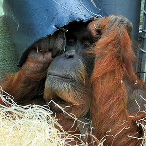 Zoo Münchn
