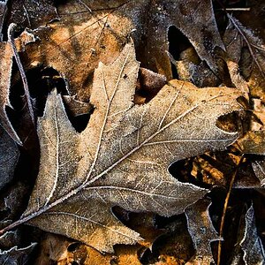 comp Winterlaub 1