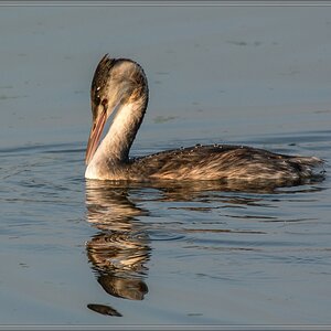 20141003 9535 [NIKON 1 V3] 300 mm,1 200 Sek. bei ƒ   5,6