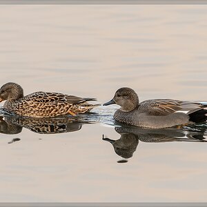20141101 2592 [NIKON D4] 600 mm,1 400 Sek. bei ƒ   8,0
