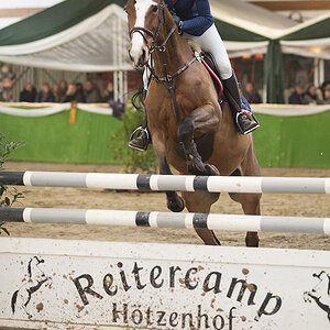 Turnier L Springen 08.02.2015 Reiterverein von Bredow Keppeln