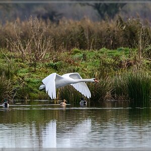 20141101 3137 [NIKON D7100] 400 mm,1 1250 Sek. bei ƒ   5,6