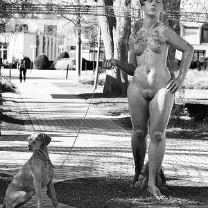 Akt mit Hund web