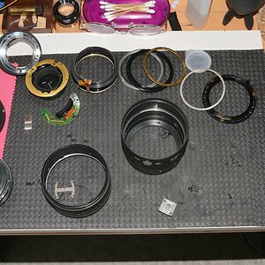 DSC 8181