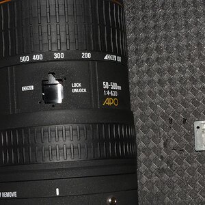 DSC 8185
