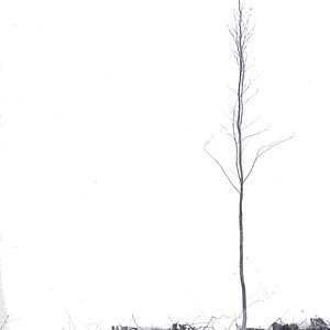 36. Analog-Wettbewerb "marginal"