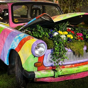 Blüten