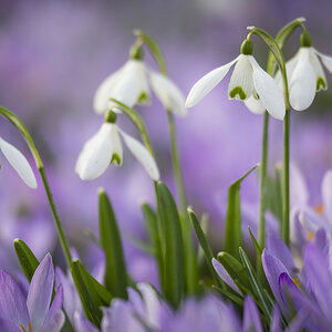 D711887