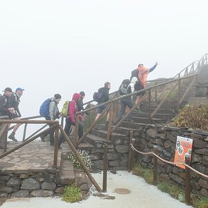 Madeira (34)