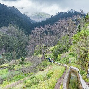 Madeira (37)
