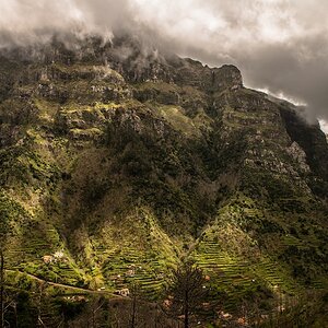 Madeira (41)