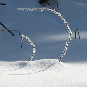 150213 029 Schneeberg